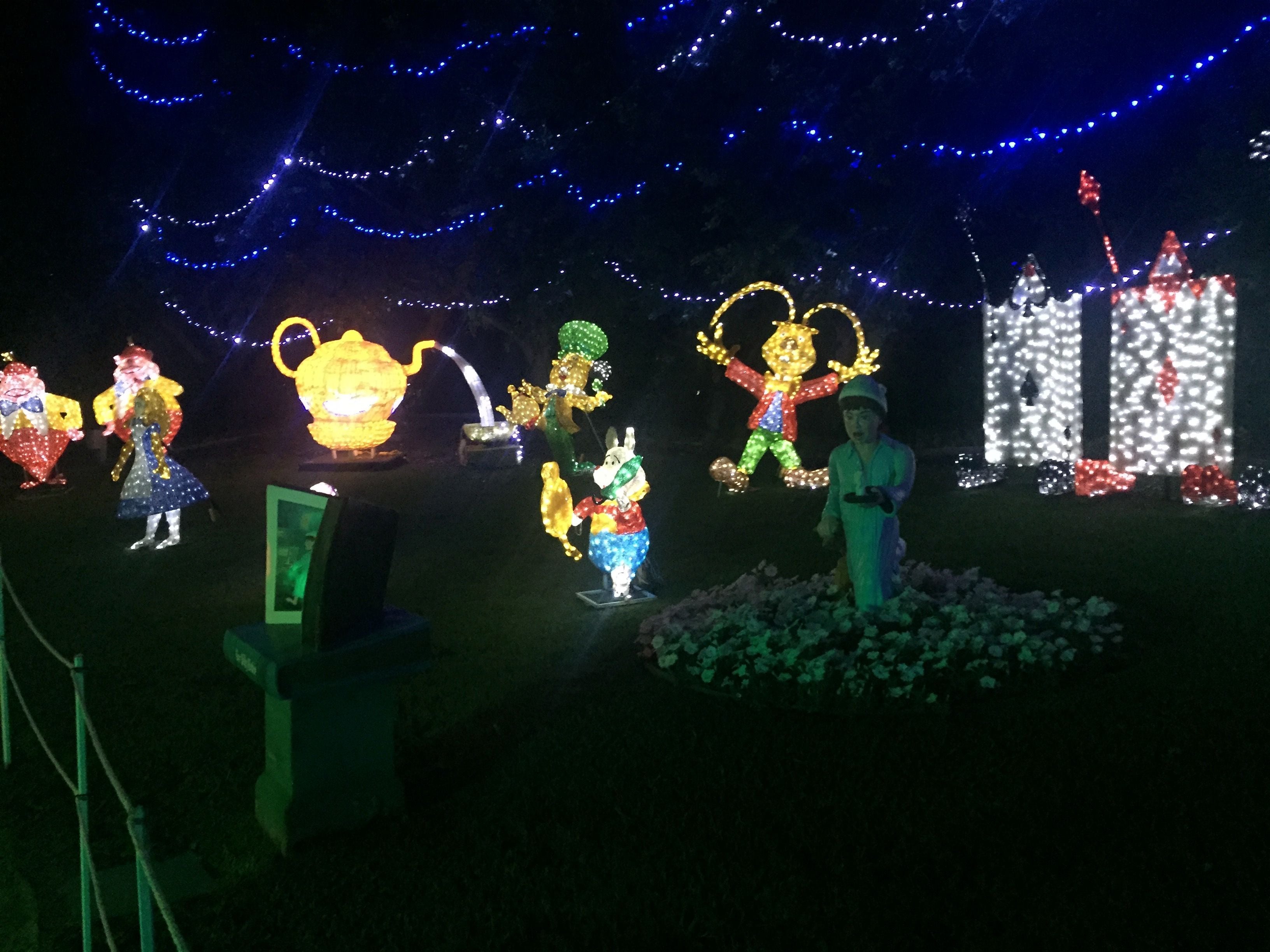 Hunter Valley Christmas Lights Spectacular Image -5b3abbc9e396d